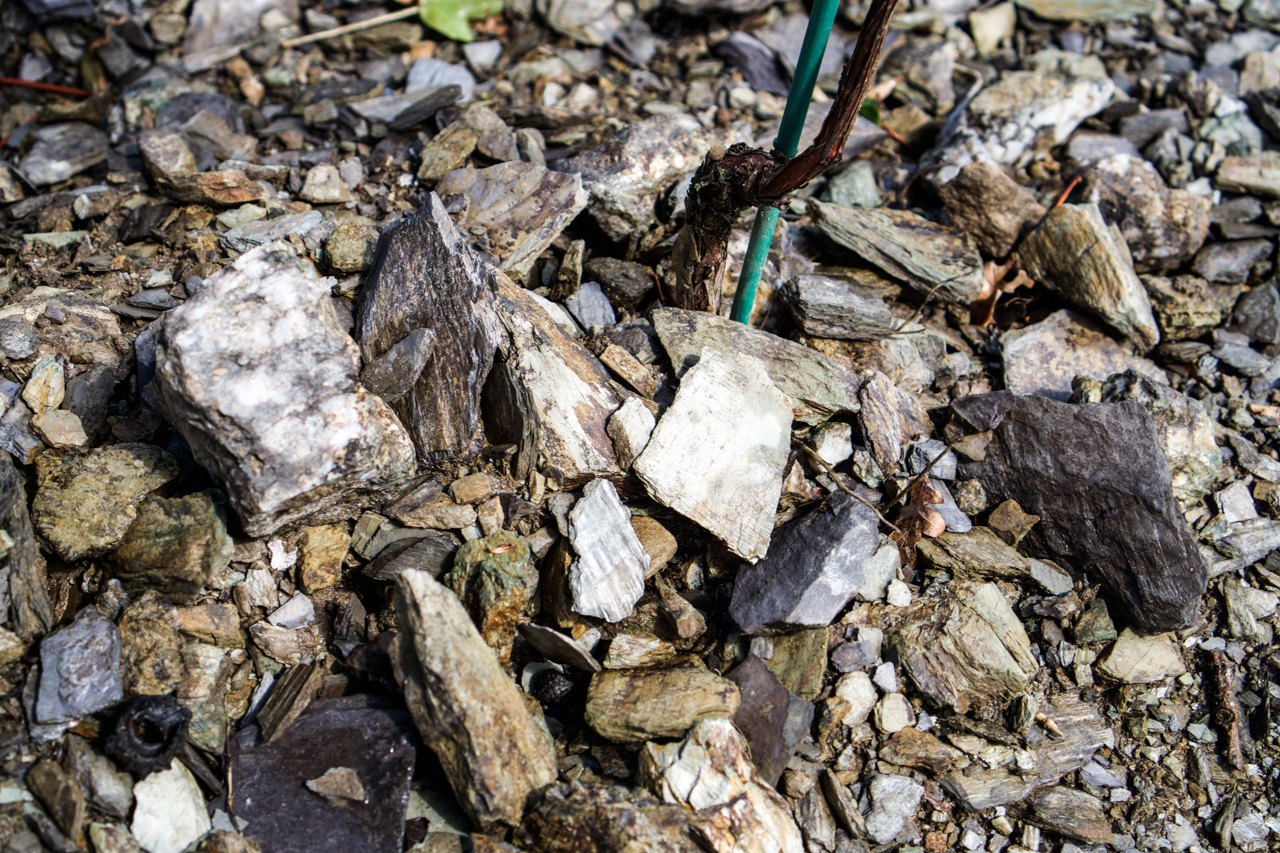 Damien Laureau European Cellars