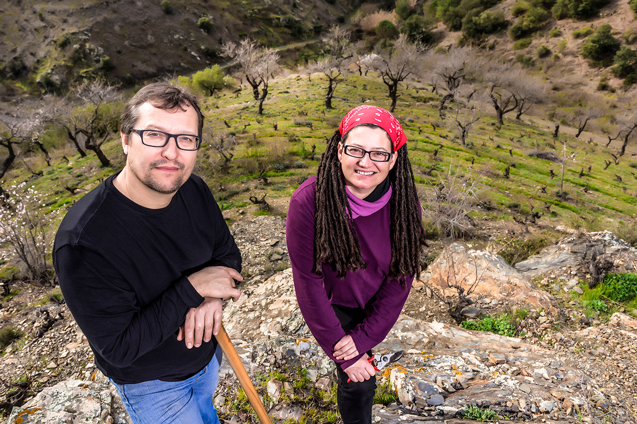 The cellar of Familia Nin-Ortiz