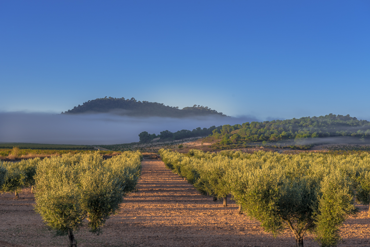 As the morning fog clears at Casa Castillo, October 2017