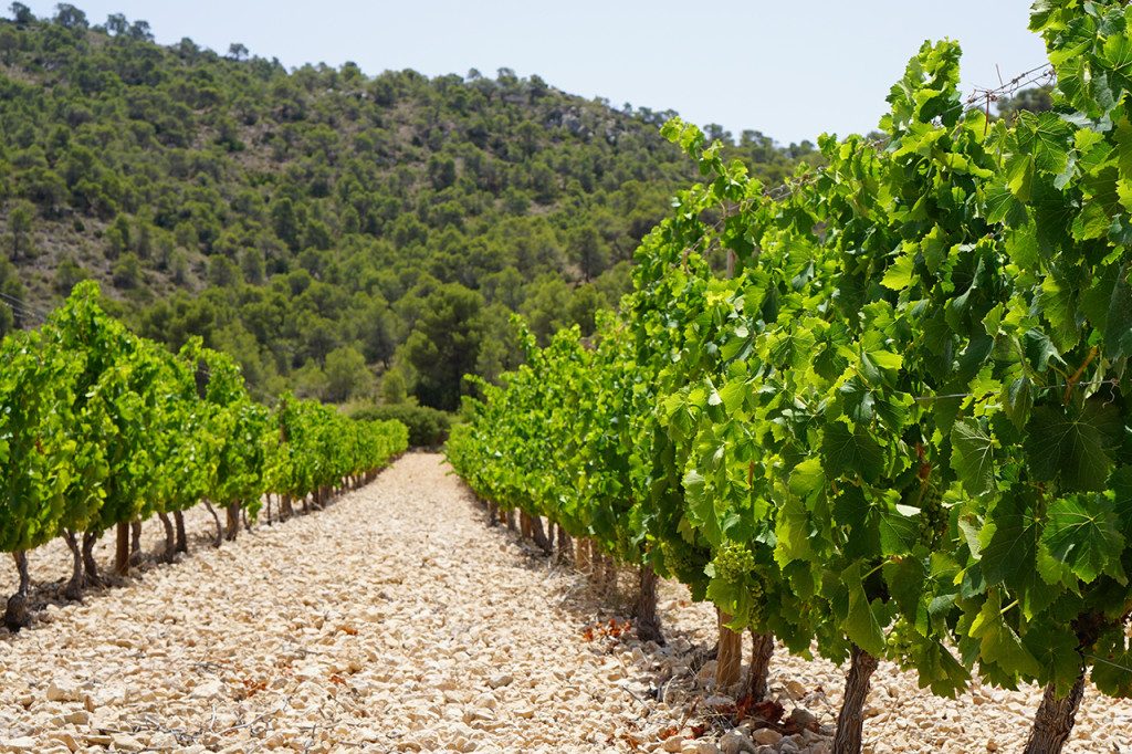 Las Gravas - the rocky and gravelly part of Casa Castillo