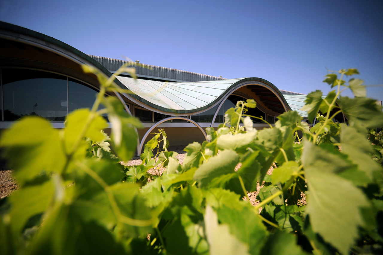 The cellars of Gramona where time is on their side