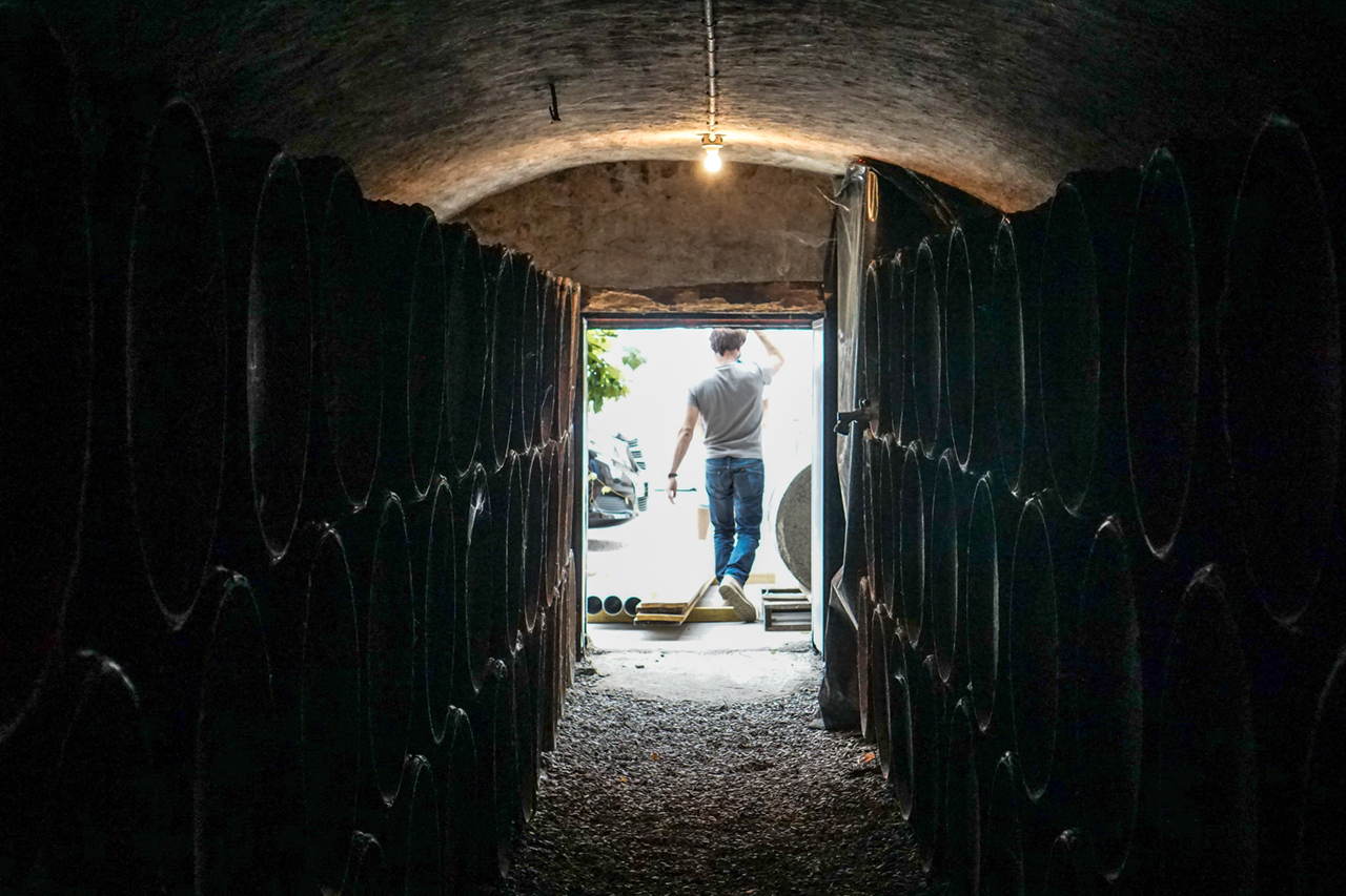 The small barrel cellar at Champagne Dosnon where the base wines are stored. The reserve wine is stored in tanks and foudre. 