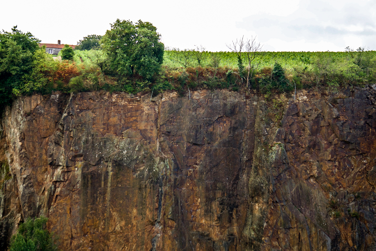 Volcanic bedrock is just below the surface in Muscadet