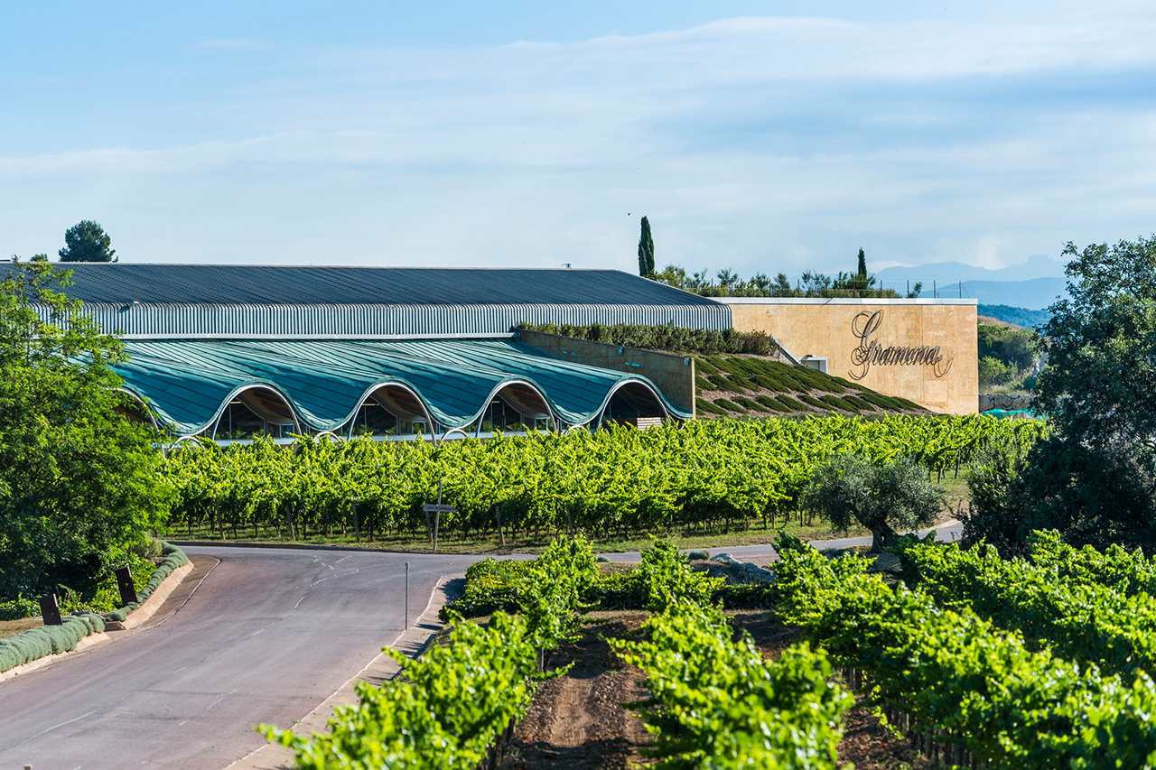 The approach to the environmentally friendly cellars of Gramona designed to employ geothermal energy.