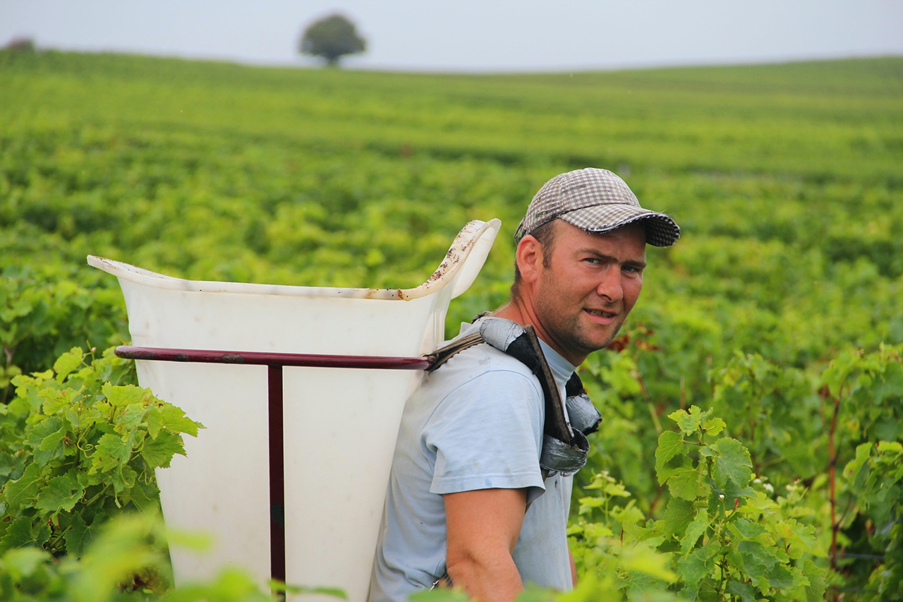 Domaine Claude Riffault is one of the few estates in Sancerre that harvests entirely by hand