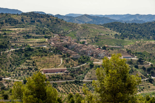 View of La Vilella Alta from the vineyard of La Solana