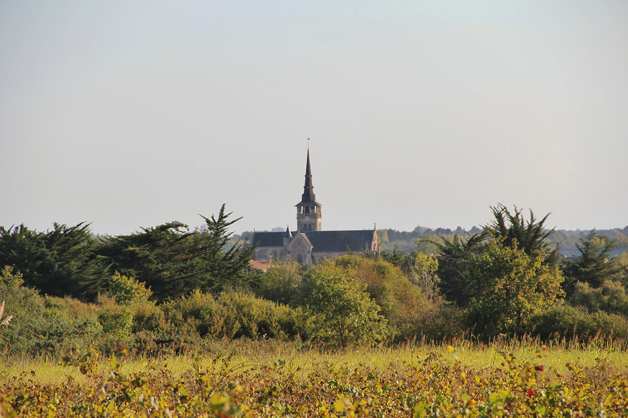 The gentle, bucolic landscape of the Fiefs-Vendéens