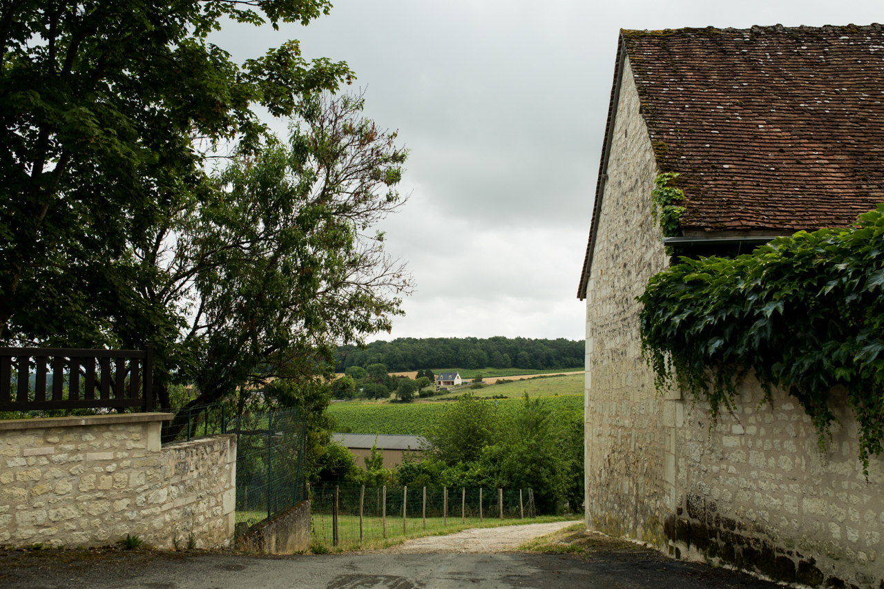 View of the vineyard from the rear of the courtyard at Domaine de Noblaie. Photo courtesy of ©Leigh-Ann Beverly at Bona Fide Productions