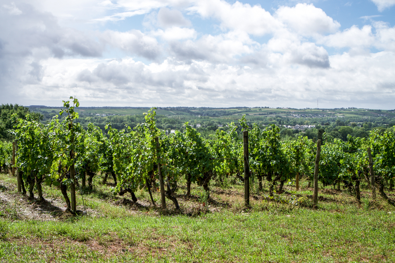The top of Roche aux Moines looking south