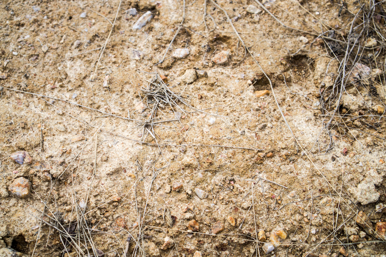 Sand - one of the terroirs at Domaine Saint Nicolas. 