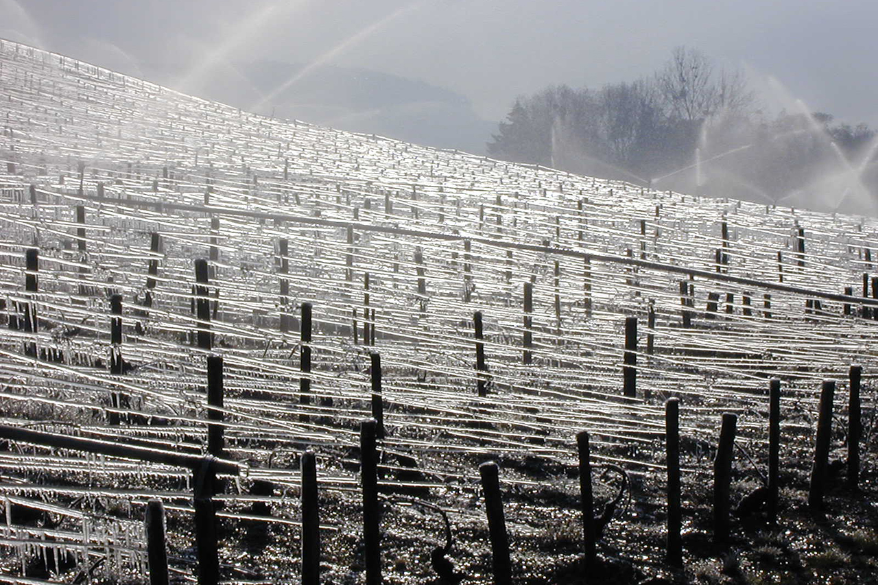 Benoît Droin it the cellars of Domaine Jean-Paul & Benoît Droin