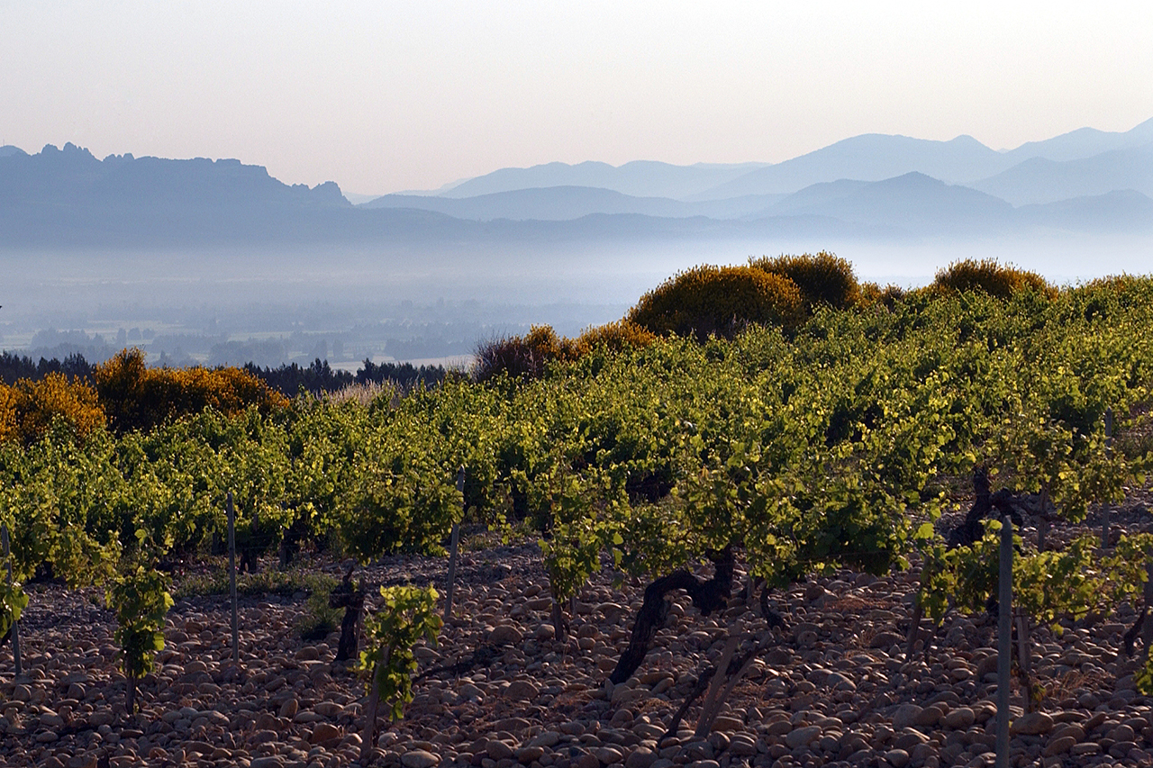 Domaine Roger Sabon European Cellars