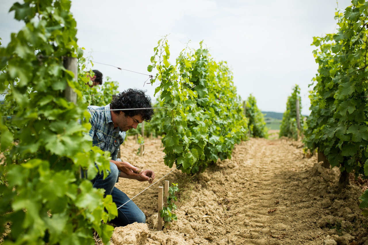 Photo courtesy of Leigh-Ann Beverly at Bona Fide Productions.