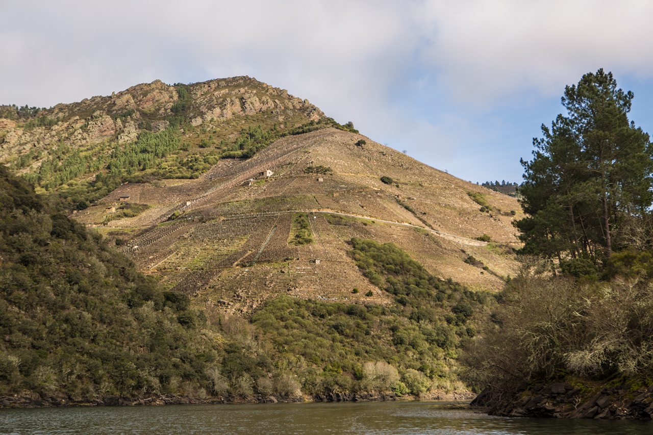 View of Cortezada from the Ribera do Sil