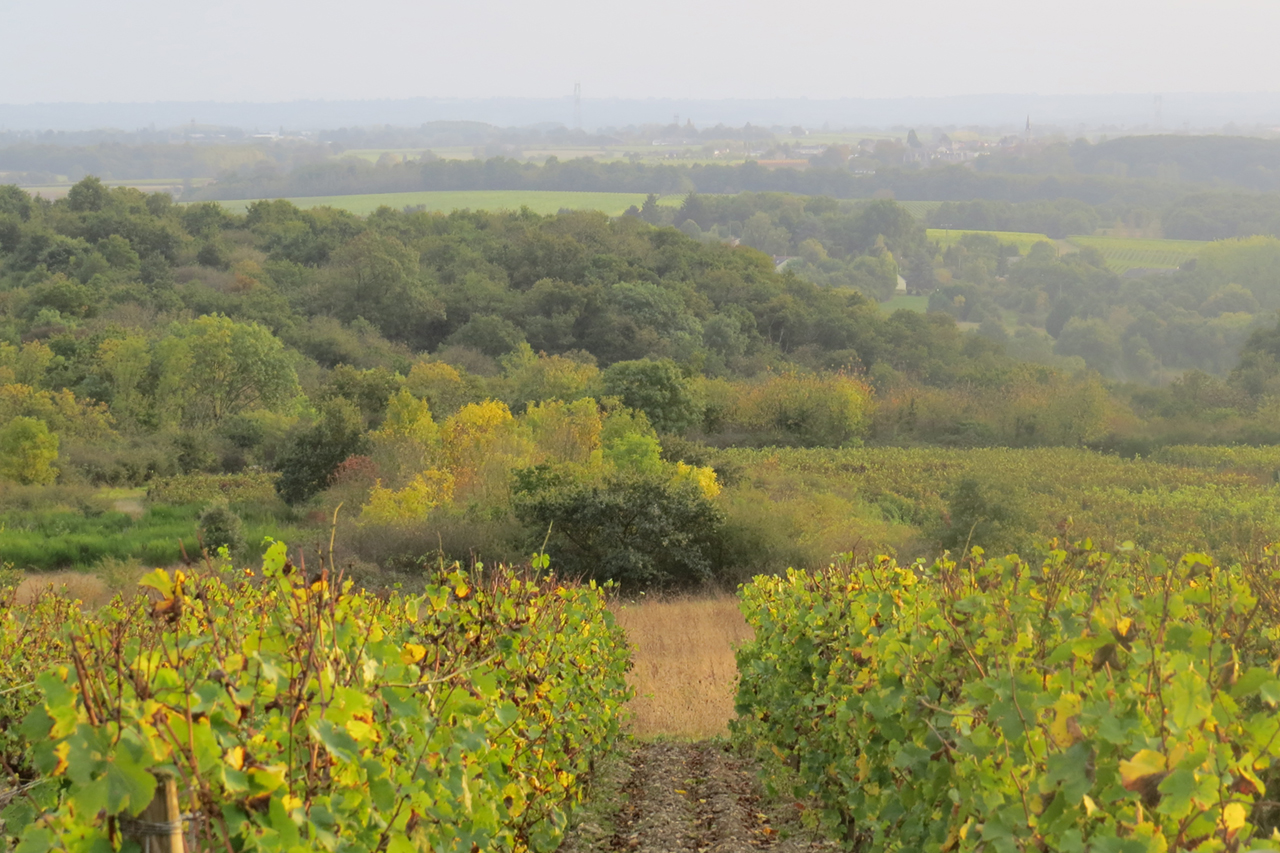 Photo courtesy of Leigh-Ann Beverly at Bona Fide Productions