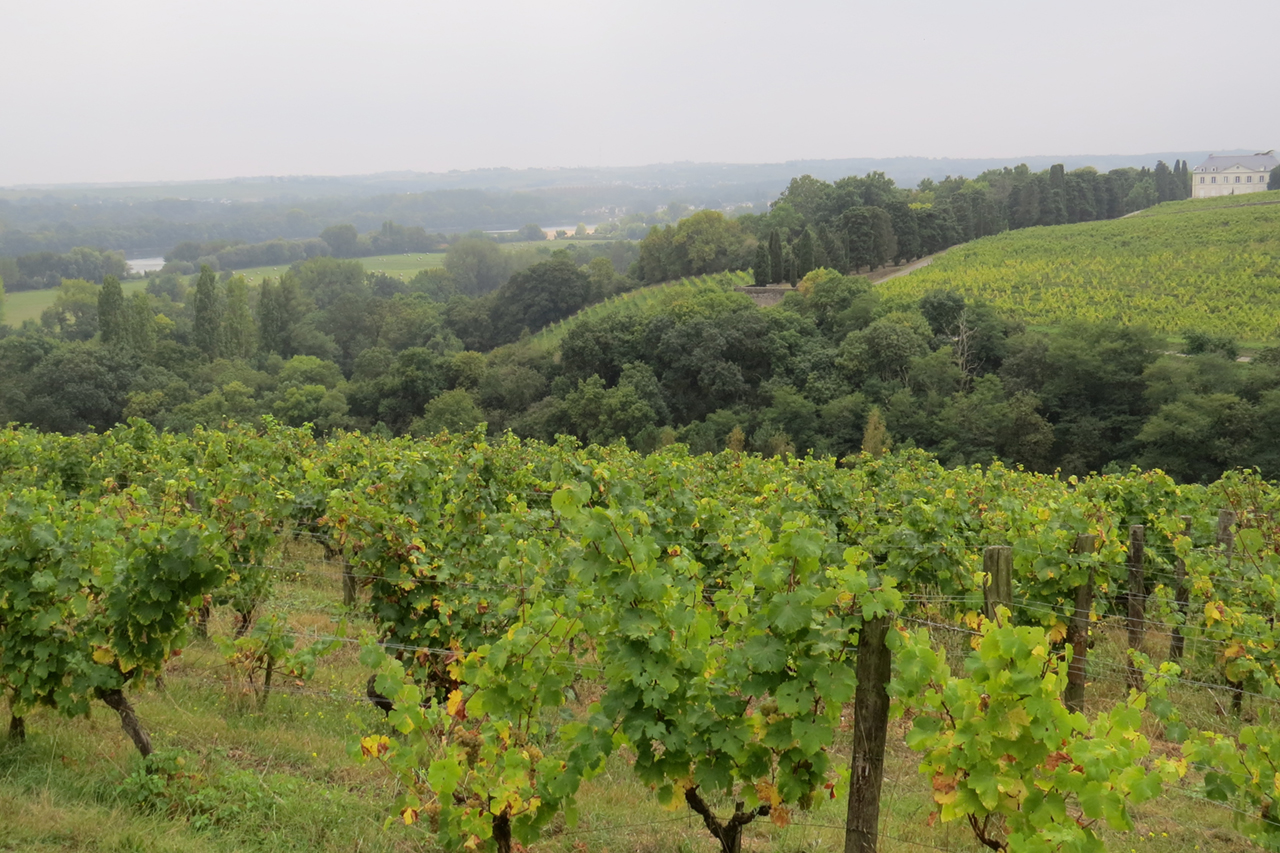 Photo courtesy of Leigh-Ann Beverly at Bona Fide Productions