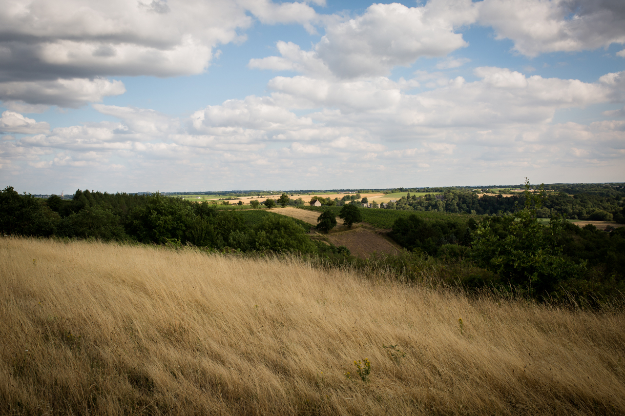 Photo courtesy of Leigh-Ann Beverly at Bona Fide Productions