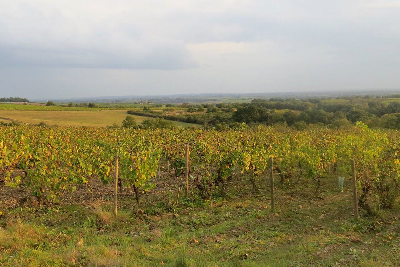 Photo courtesy of Leigh-Ann Beverly at Bona Fide Productions