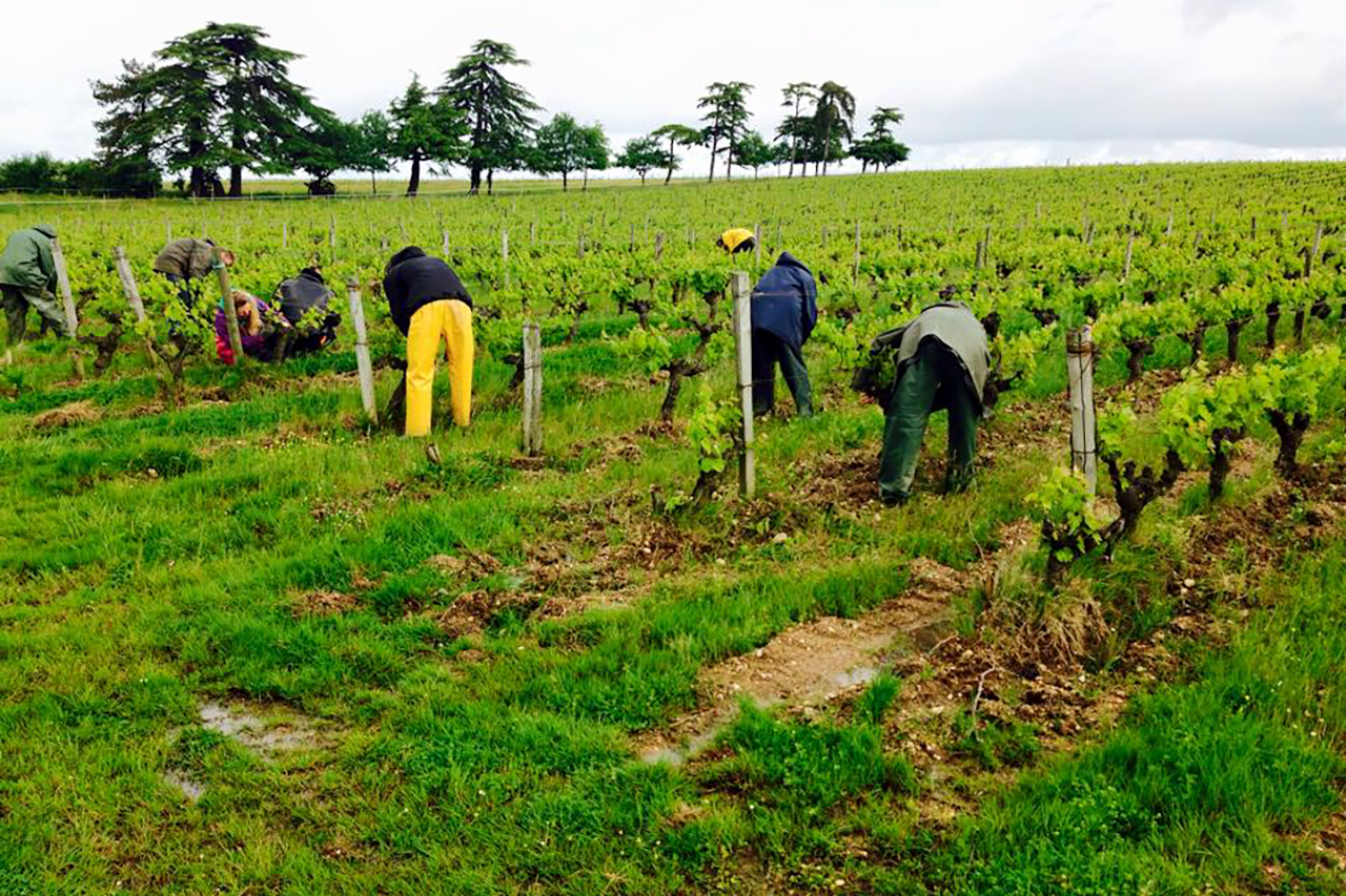 Photo courtesy of Leigh-Ann Beverly at Bona Fide Productions