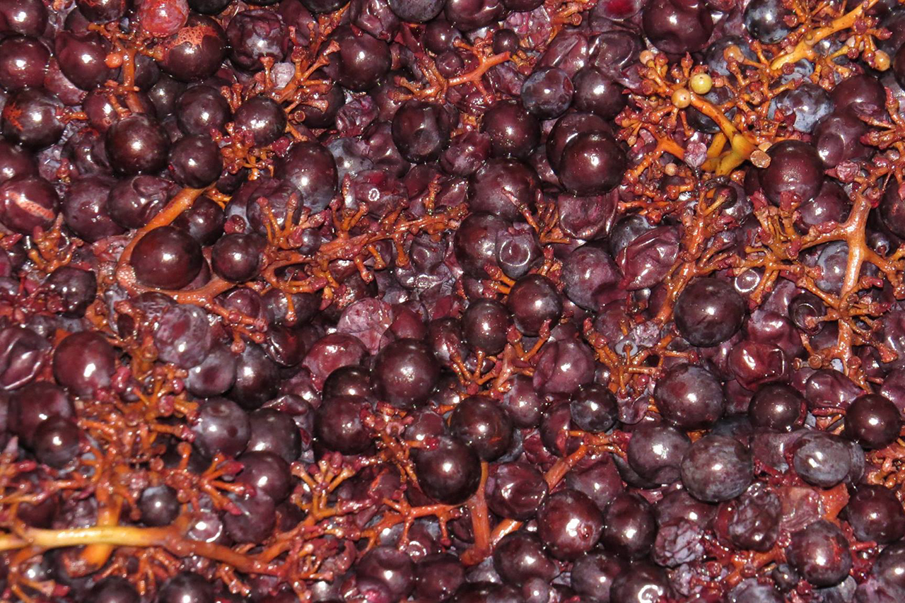 Photo courtesy of Leigh-Ann Beverly at Bona Fide Productions