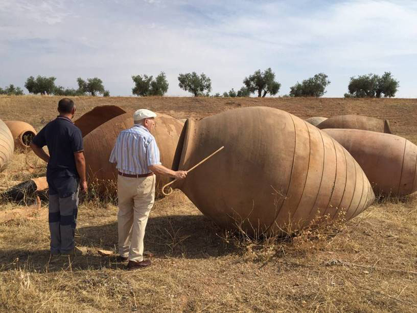 Inspecting new amphorae for Celler del Roure