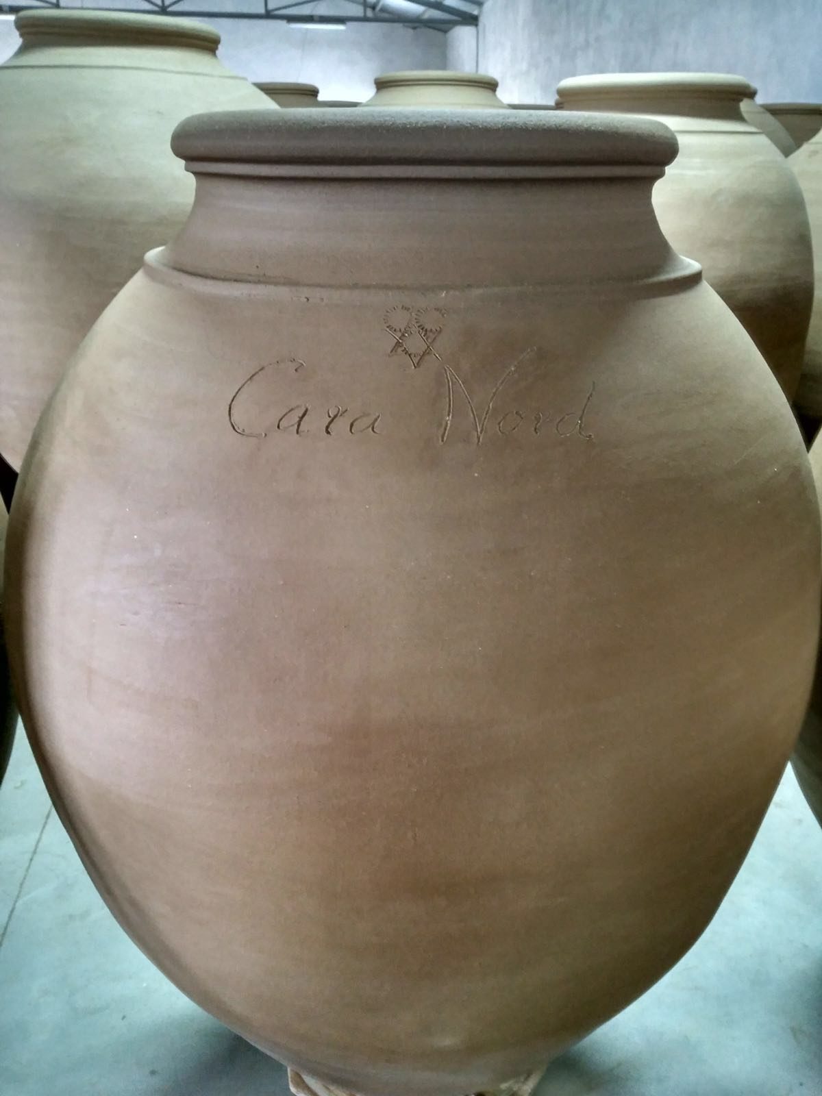 New amphorae for Cara Nord