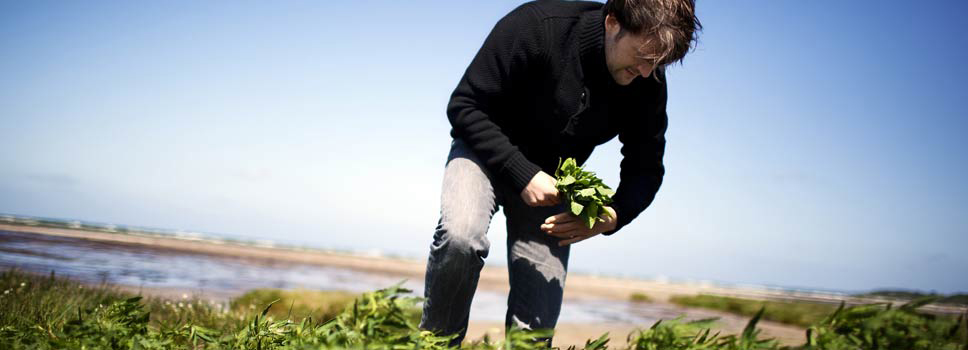 René Redzepi of Noma