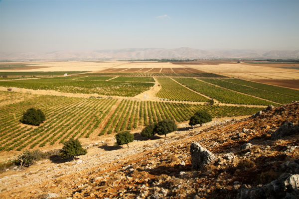View of the Bekaa Valley looking east towards the Anti-Lebanon range.