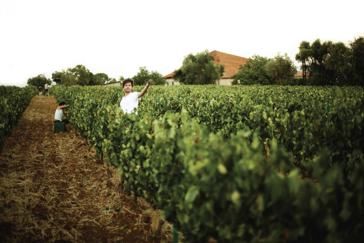 A younger Faouzi shortly after returning from his studies abroad in France.