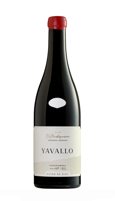 Yavallo Bottle