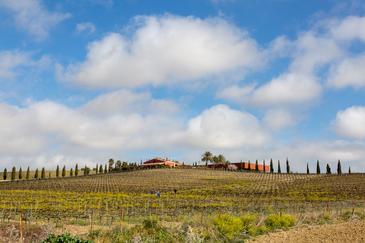 Hacienda Vistahermosa at the crest of Pago El Corchuelo