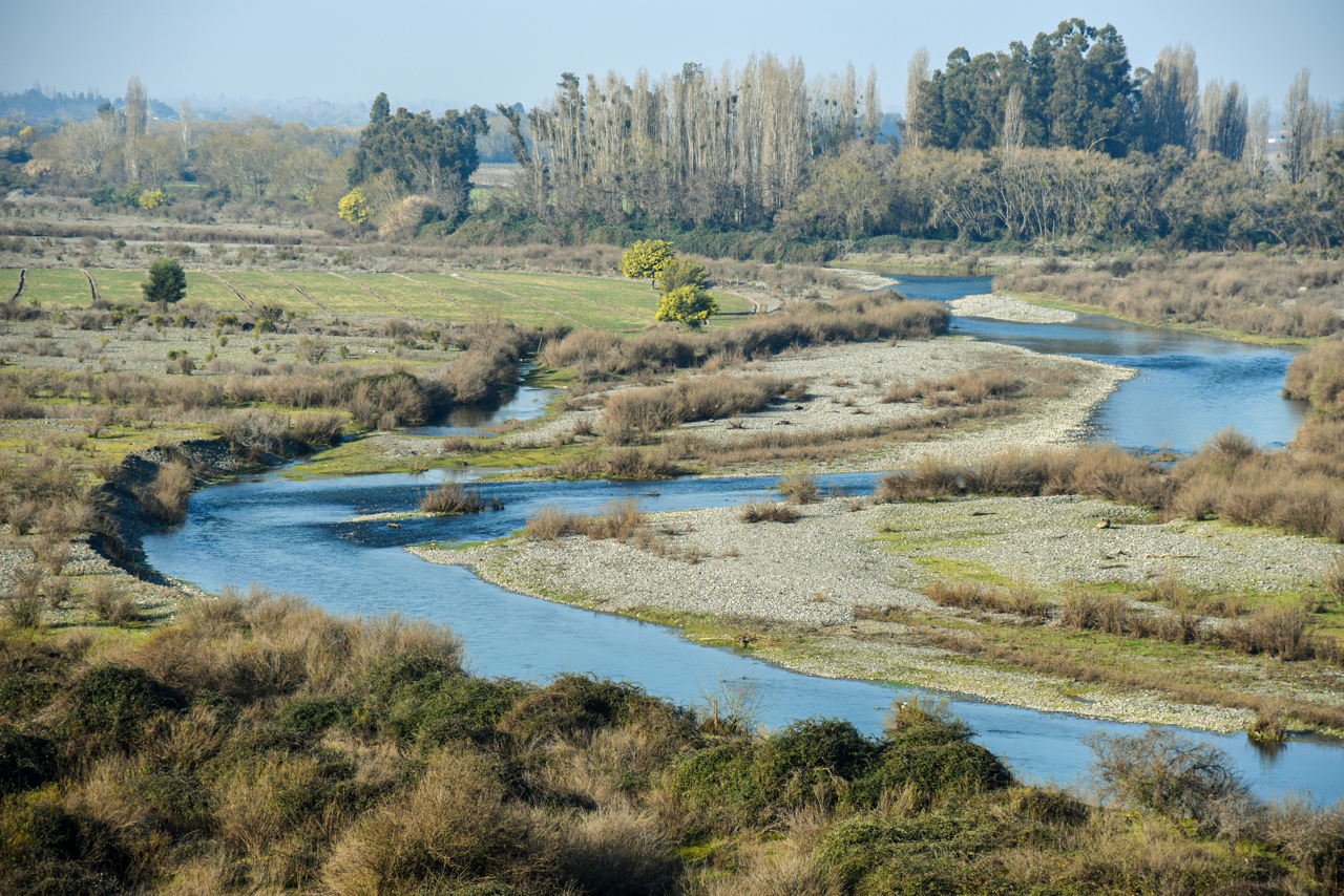 Mataquito River in Maule just a few kilometers from the Romelio vineyard