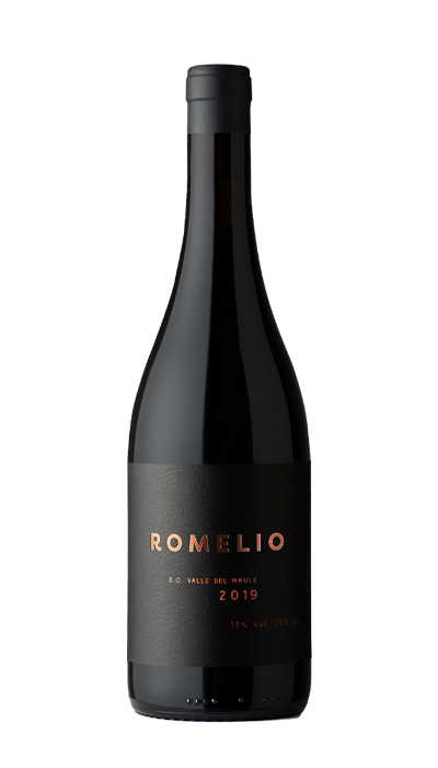 Romelio Bottle