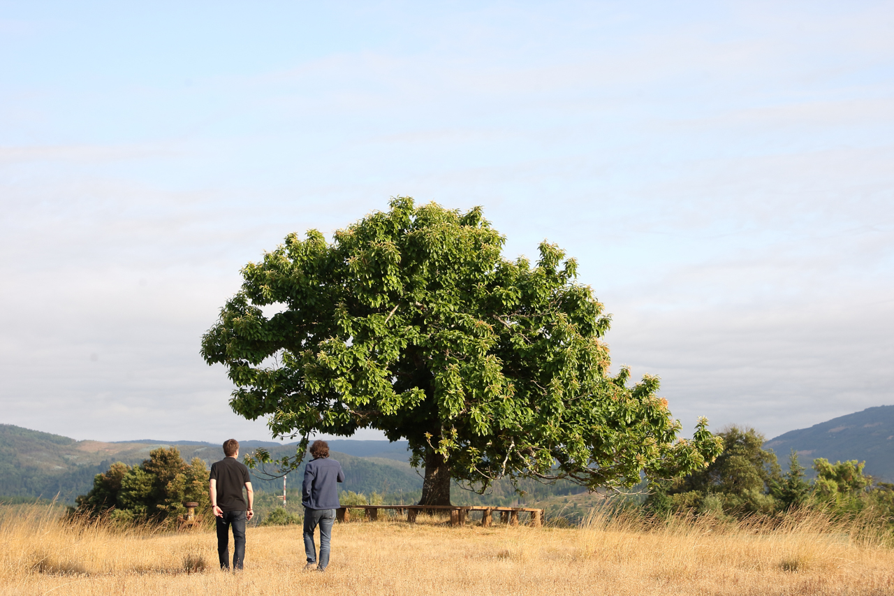 Malleco – a land ideally suited for dry-farming Pinot Noir and Chardonnay