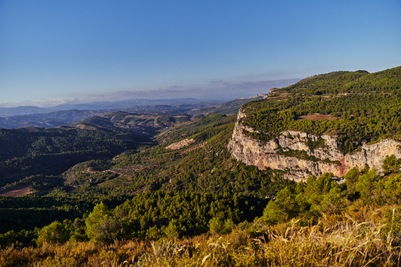 Tatjana Peceric. Projecte Terroir Sense Fronteres, DO Montsant. Celler Terroir al Límit. Capçanes, Priorat, Tarragona