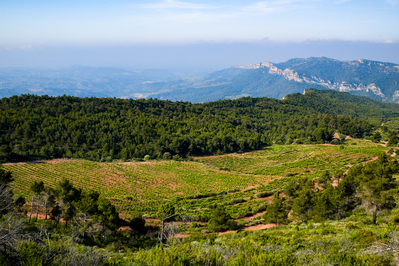 Tatjana Peceric. Projecte Terroir Sense Fronteres, DO Montsant. Celler Terroir al Límit. Capçanes, Priorat, Tarragona